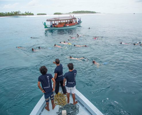 avvistamento squali balena Maldive con Macana