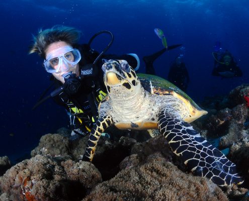 Diving Fish Head Maldive